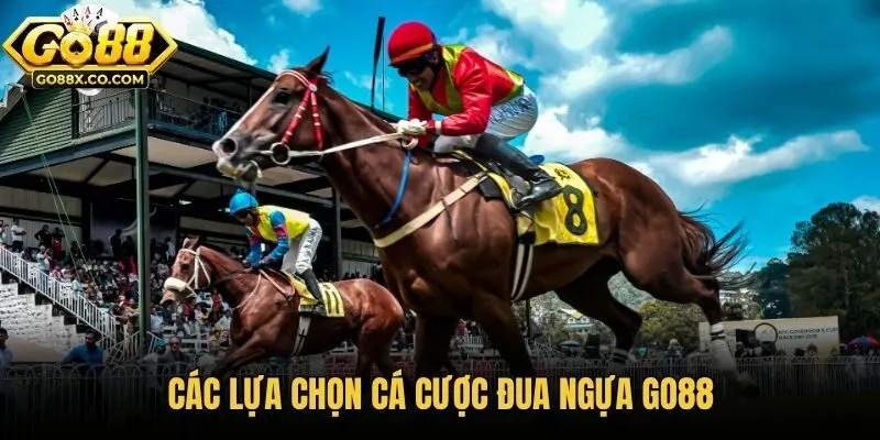 Các lựa chọn cá cược đua ngựa Go88