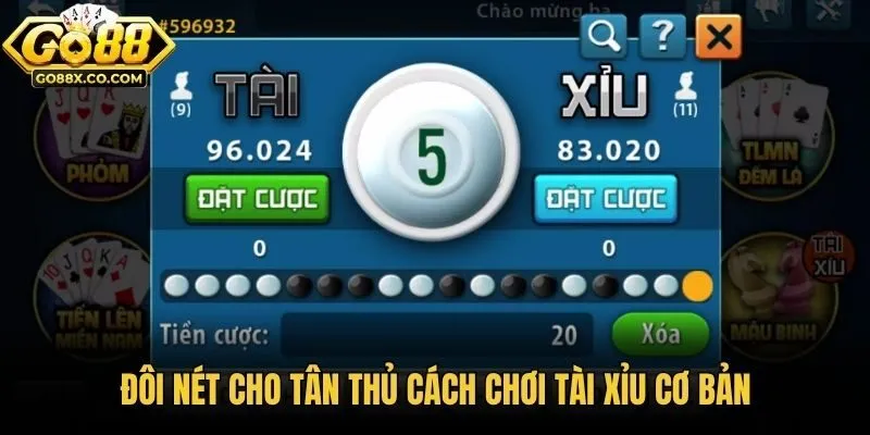 Đôi nét cho tân thủ cách chơi tài xỉu cơ bản