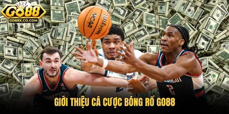 Giới thiệu cá cược bóng rổ Go88