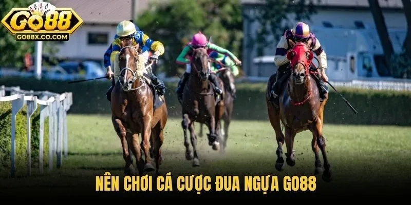 Nên chơi cá cược đua ngựa Go88