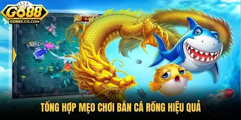 Tổng hợp mẹo chơi Bắn Cá Rồng hiệu quả